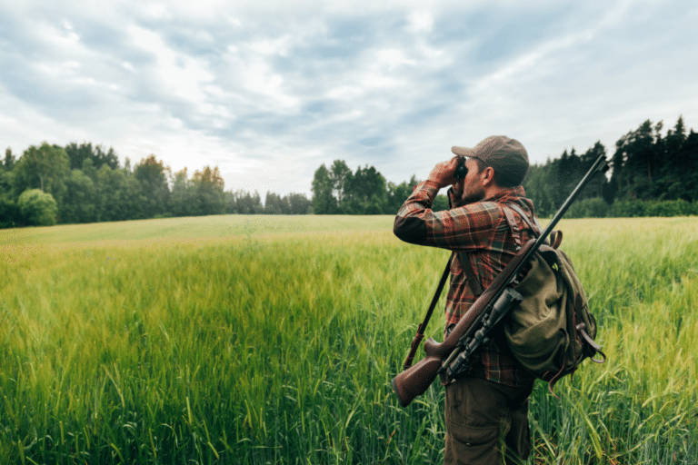 Comment choisir la meilleure caméra de chasse ?