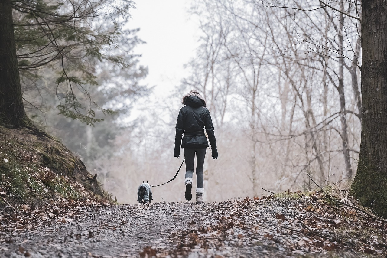 découvrez des activités inhabituelles qui sortent de l'ordinaire ! plongez dans des expériences uniques et insolites, allant des aventures palpitantes aux loisirs créatifs. parfait pour ceux qui cherchent à pimenter leur quotidien et à explorer de nouvelles passions.