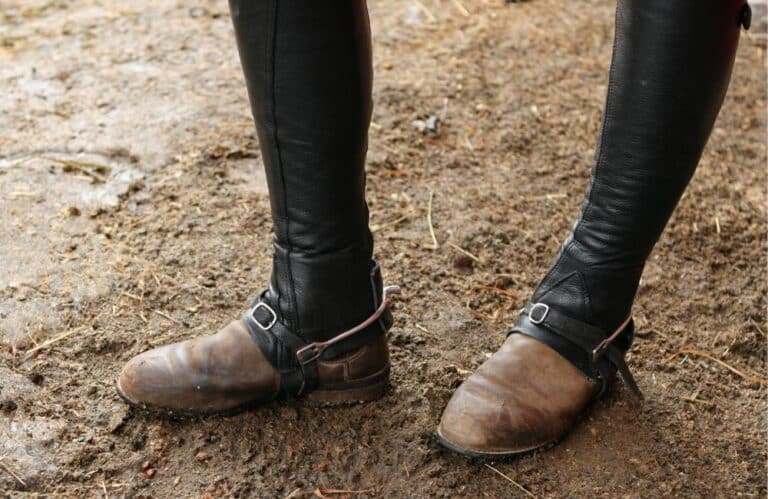 Mini-chaps ou bottes d’équitation : quel est le meilleur choix pour vous ?